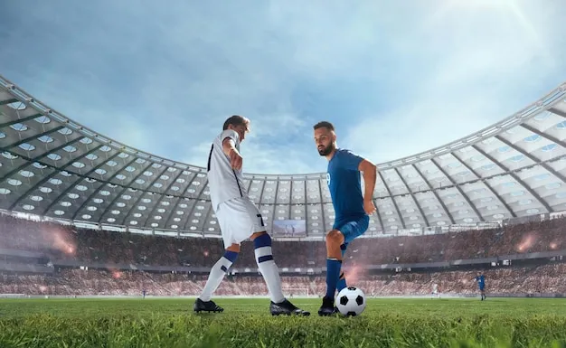 半岛体育 App 界面